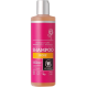 Urtekram Rose Shampoo (normalt hår) 250 ml.